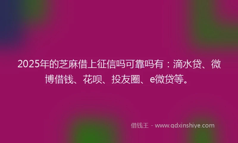 2025年的芝麻借上征信吗可靠吗有：滴水贷、微博借钱、花呗、投友圈、e微贷等。