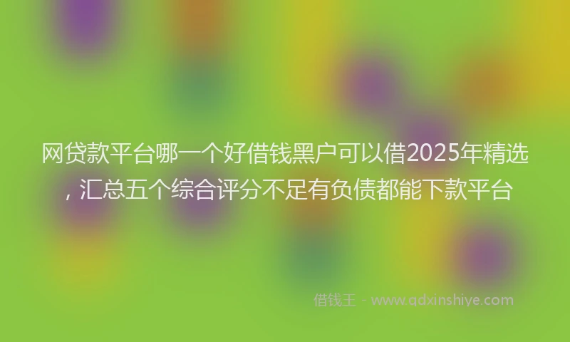 网贷款平台哪一个好借钱黑户可以借2025年精选，汇总五个综合评分不足有负债都能下款平台