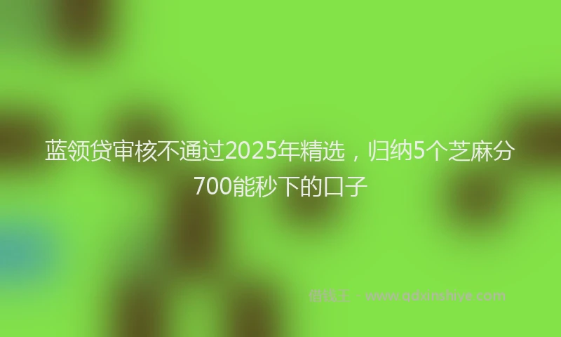 蓝领贷审核不通过2025年精选，归纳5个芝麻分700能秒下的口子