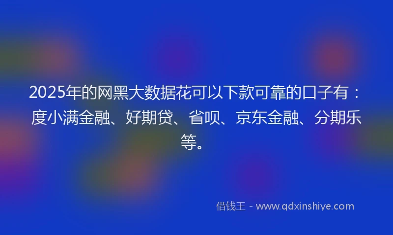 2025年的网黑大数据花可以下款可靠的口子有：度小满金融、好期贷、省呗、京东金融、分期乐等。