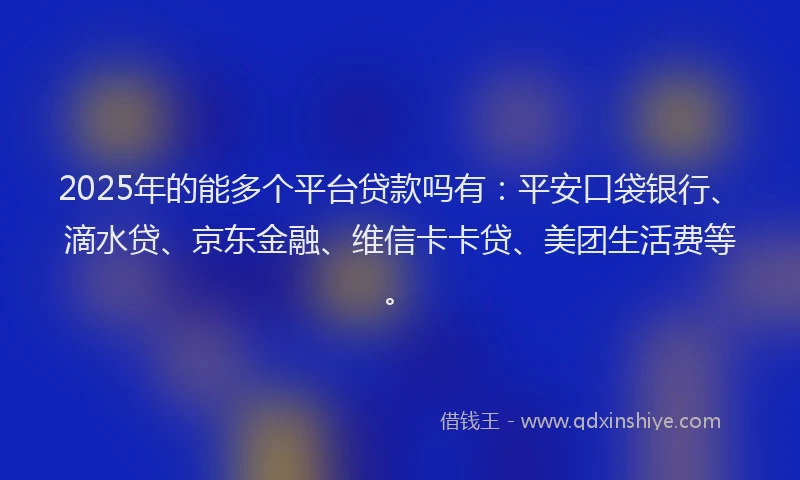 2025年的能多个平台贷款吗有：平安口袋银行、滴水贷、京东金融、维信卡卡贷、美团生活费等。