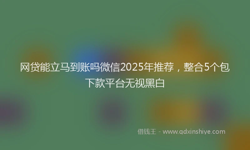 网贷能立马到账吗微信2025年推荐，整合5个包下款平台无视黑白