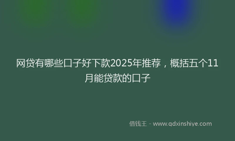 网贷有哪些口子好下款2025年推荐，概括五个11月能贷款的口子