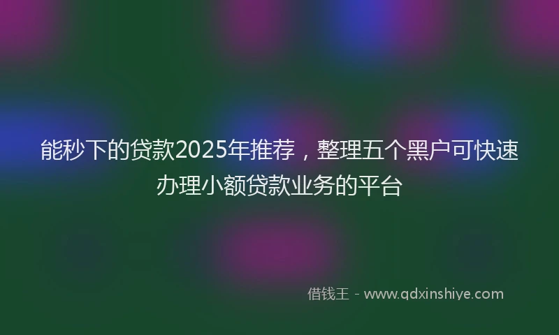 能秒下的贷款2025年推荐，整理五个黑户可快速办理小额贷款业务的平台