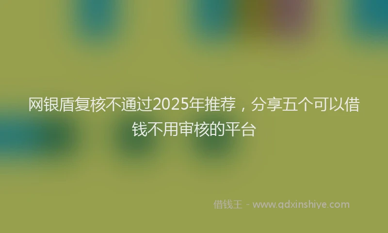 网银盾复核不通过2025年推荐，分享五个可以借钱不用审核的平台
