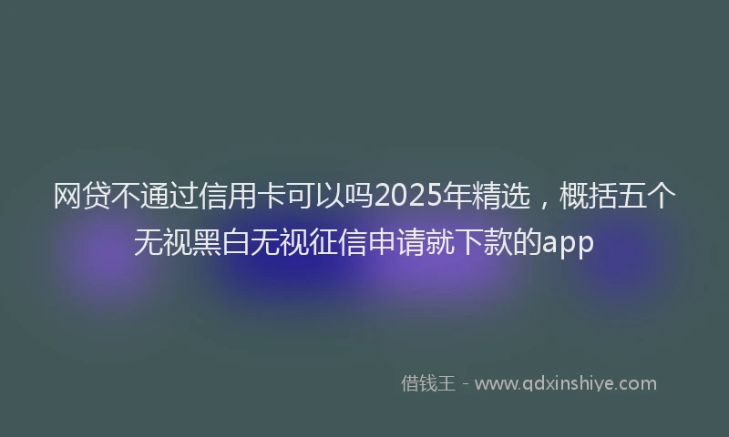 网贷不通过信用卡可以吗2025年精选，概括五个无视黑白无视征信申请就下款的app