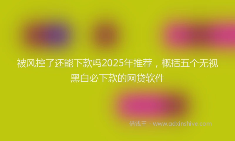 被风控了还能下款吗2025年推荐，概括五个无视黑白必下款的网贷软件