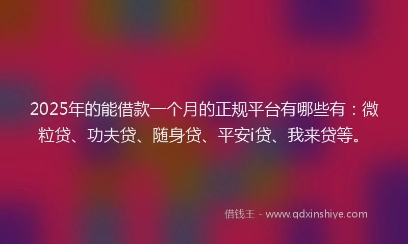 2025年的能借款一个月的正规平台有哪些有：微粒贷、功夫贷、随身贷、平安i贷、我来贷等。