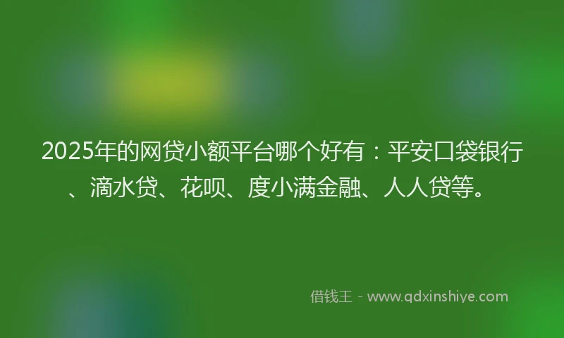 2025年的网贷小额平台哪个好有：平安口袋银行、滴水贷、花呗、度小满金融、人人贷等。