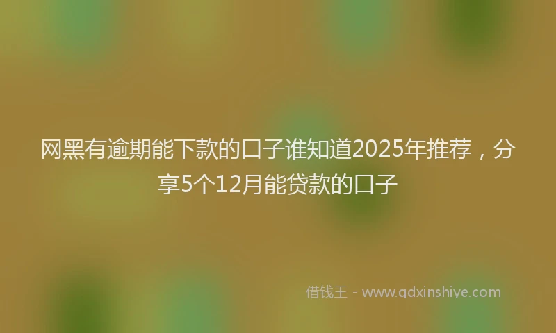 网黑有逾期能下款的口子谁知道2025年推荐，分享5个12月能贷款的口子