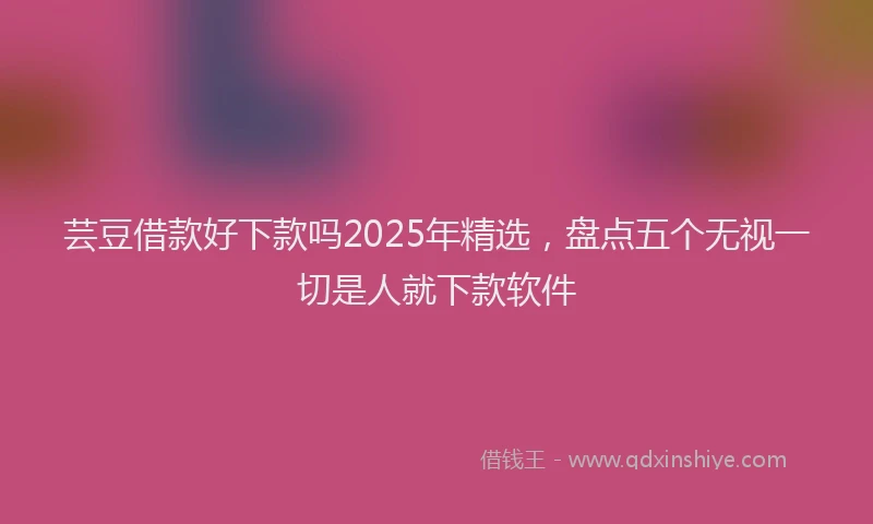 芸豆借款好下款吗2025年精选，盘点五个无视一切是人就下款软件