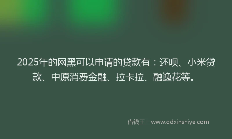 2025年的网黑可以申请的贷款有：还呗、小米贷款、中原消费金融、拉卡拉、融逸花等。