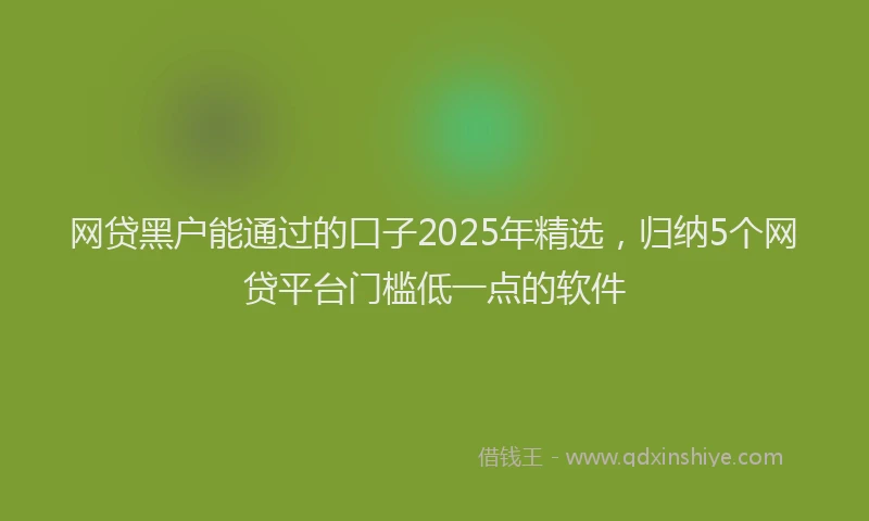 网贷黑户能通过的口子2025年精选，归纳5个网贷平台门槛低一点的软件