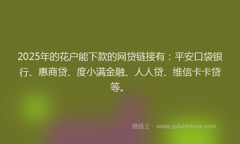 2025年的花户能下款的网贷链接有：平安口袋银行、惠商贷、度小满金融、人人贷、维信卡卡贷等。