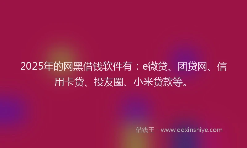 2025年的网黑借钱软件有：e微贷、团贷网、信用卡贷、投友圈、小米贷款等。