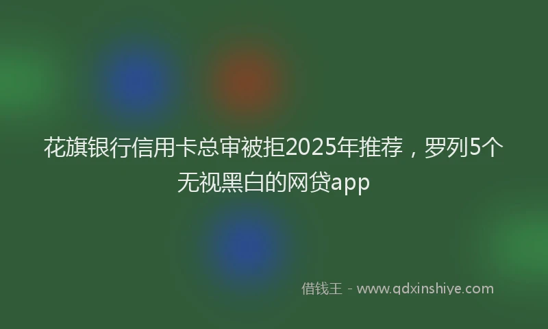 花旗银行信用卡总审被拒2025年推荐，罗列5个无视黑白的网贷app