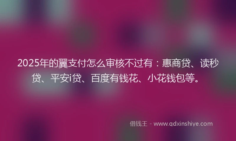 2025年的翼支付怎么审核不过有：惠商贷、读秒贷、平安i贷、百度有钱花、小花钱包等。
