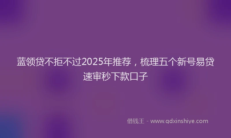 蓝领贷不拒不过2025年推荐，梳理五个新号易贷速审秒下款口子