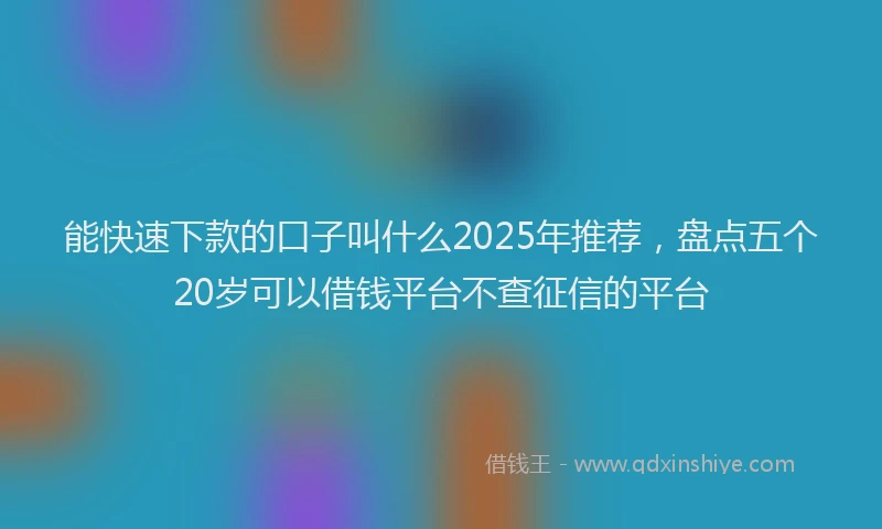 能快速下款的口子叫什么2025年推荐，盘点五个20岁可以借钱平台不查征信的平台