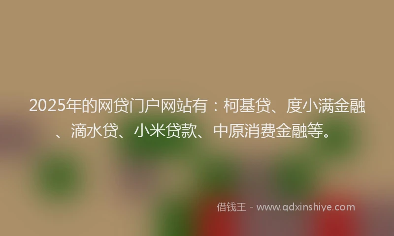 2025年的网贷门户网站有：柯基贷、度小满金融、滴水贷、小米贷款、中原消费金融等。