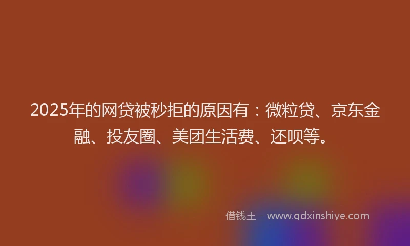 2025年的网贷被秒拒的原因有：微粒贷、京东金融、投友圈、美团生活费、还呗等。