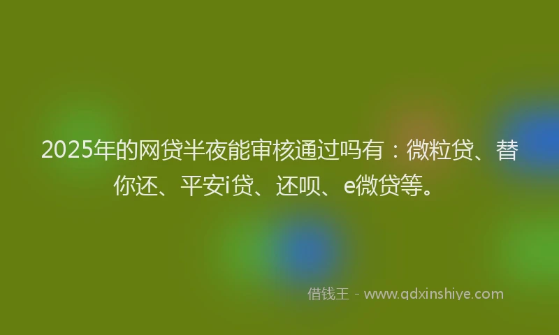 2025年的网贷半夜能审核通过吗有：微粒贷、替你还、平安i贷、还呗、e微贷等。