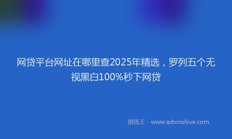 网贷平台网址在哪里查2025年精选，罗列五个无视黑白100%秒下网贷