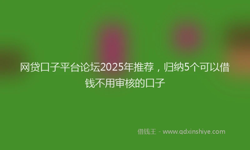 网贷口子平台论坛2025年推荐，归纳5个可以借钱不用审核的口子