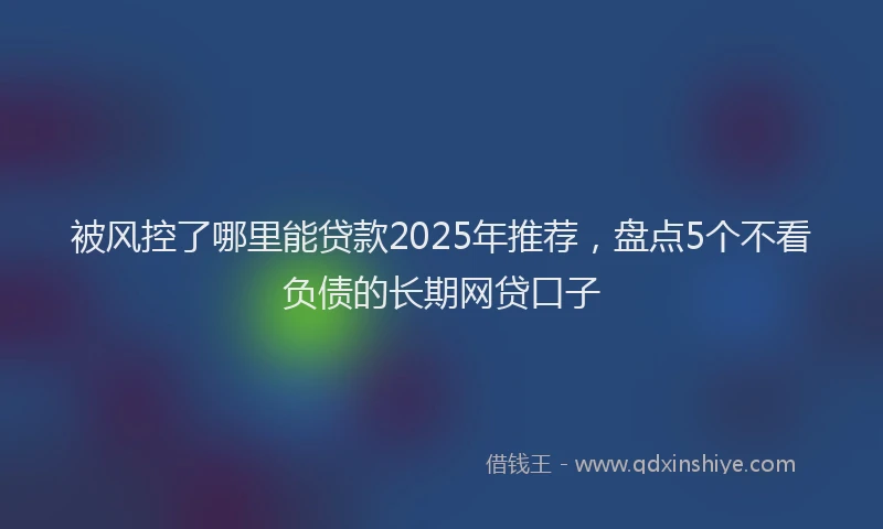 被风控了哪里能贷款2025年推荐，盘点5个不看负债的长期网贷口子