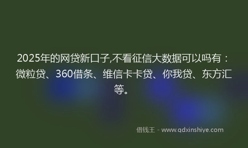 2025年的网贷新口子,不看征信大数据可以吗有：微粒贷、360借条、维信卡卡贷、你我贷、东方汇等。