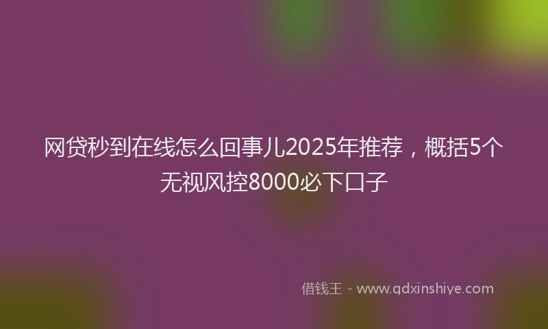 网贷秒到在线怎么回事儿2025年推荐，概括5个无视风控8000必下口子