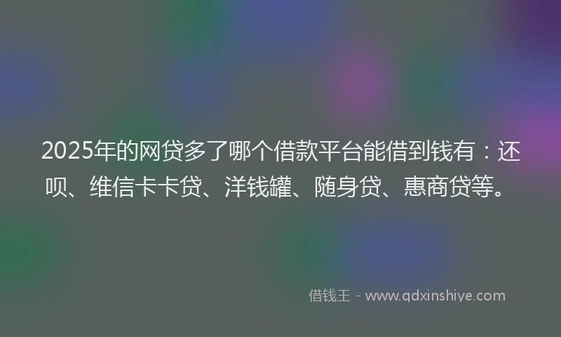 2025年的网贷多了哪个借款平台能借到钱有：还呗、维信卡卡贷、洋钱罐、随身贷、惠商贷等。