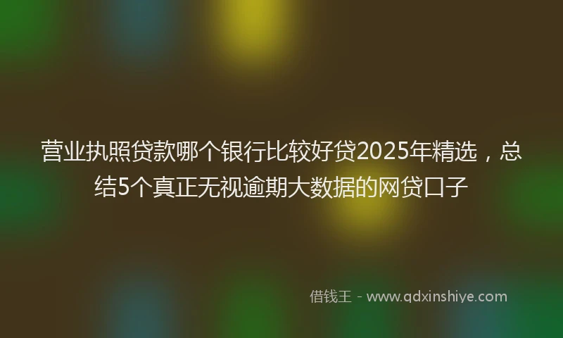 营业执照贷款哪个银行比较好贷2025年精选，总结5个真正无视逾期大数据的网贷口子