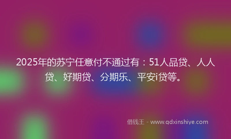 2025年的苏宁任意付不通过有：51人品贷、人人贷、好期贷、分期乐、平安i贷等。