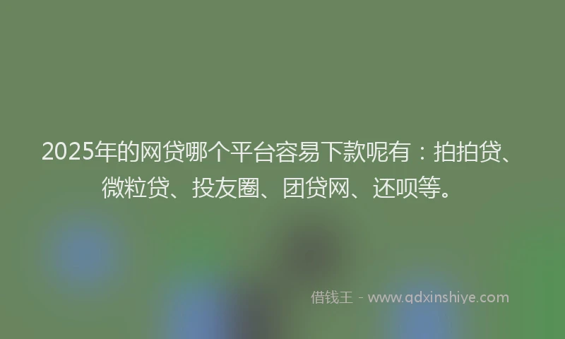 2025年的网贷哪个平台容易下款呢有：拍拍贷、微粒贷、投友圈、团贷网、还呗等。