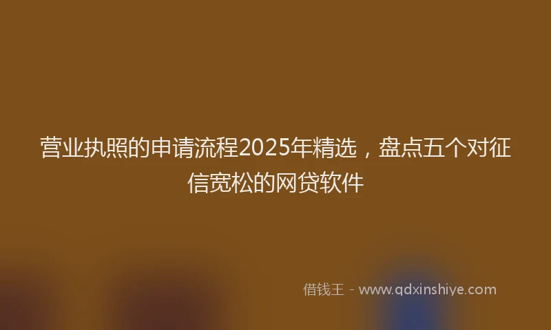 营业执照的申请流程2025年精选，盘点五个对征信宽松的网贷软件