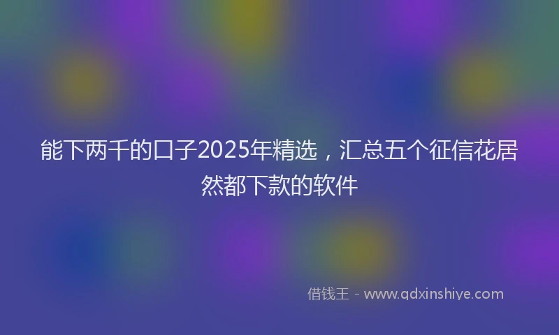 能下两千的口子2025年精选，汇总五个征信花居然都下款的软件