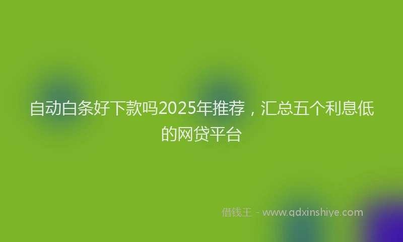 自动白条好下款吗2025年推荐，汇总五个利息低的网贷平台