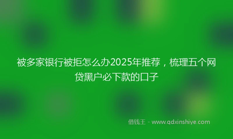被多家银行被拒怎么办2025年推荐，梳理五个网贷黑户必下款的口子
