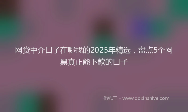 网贷中介口子在哪找的2025年精选，盘点5个网黑真正能下款的口子