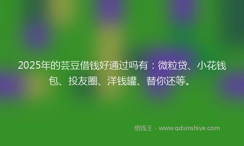 2025年的芸豆借钱好通过吗有：微粒贷、小花钱包、投友圈、洋钱罐、替你还等。