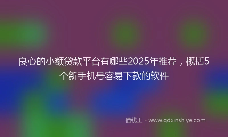 良心的小额贷款平台有哪些2025年推荐，概括5个新手机号容易下款的软件