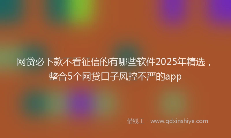 网贷必下款不看征信的有哪些软件2025年精选，整合5个网贷口子风控不严的app