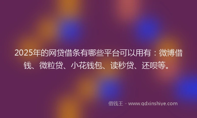 2025年的网贷借条有哪些平台可以用有：微博借钱、微粒贷、小花钱包、读秒贷、还呗等。