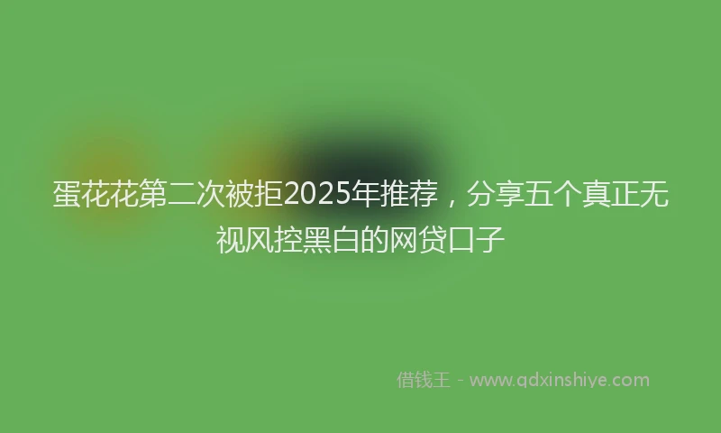 蛋花花第二次被拒2025年推荐，分享五个真正无视风控黑白的网贷口子