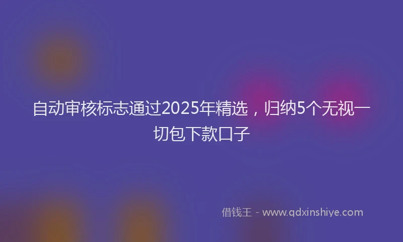 自动审核标志通过2025年精选，归纳5个无视一切包下款口子