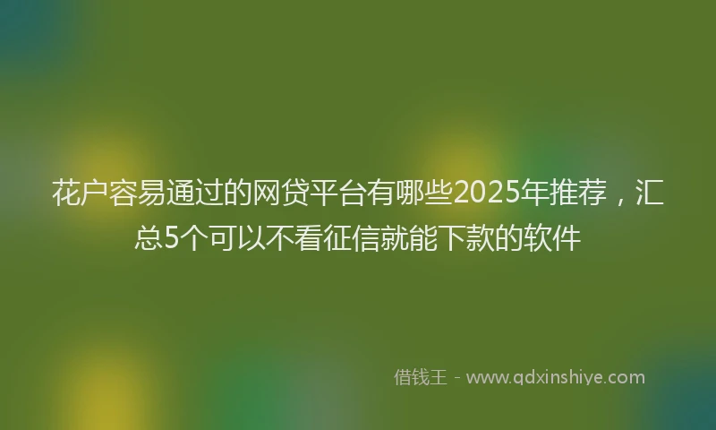 花户容易通过的网贷平台有哪些2025年推荐，汇总5个可以不看征信就能下款的软件