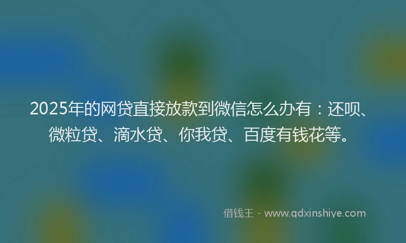 2025年的网贷直接放款到微信怎么办有：还呗、微粒贷、滴水贷、你我贷、百度有钱花等。
