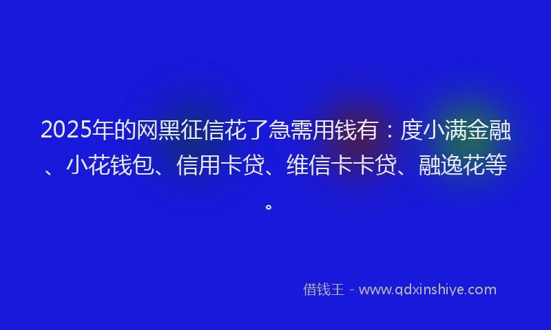2025年的网黑征信花了急需用钱有：度小满金融、小花钱包、信用卡贷、维信卡卡贷、融逸花等。