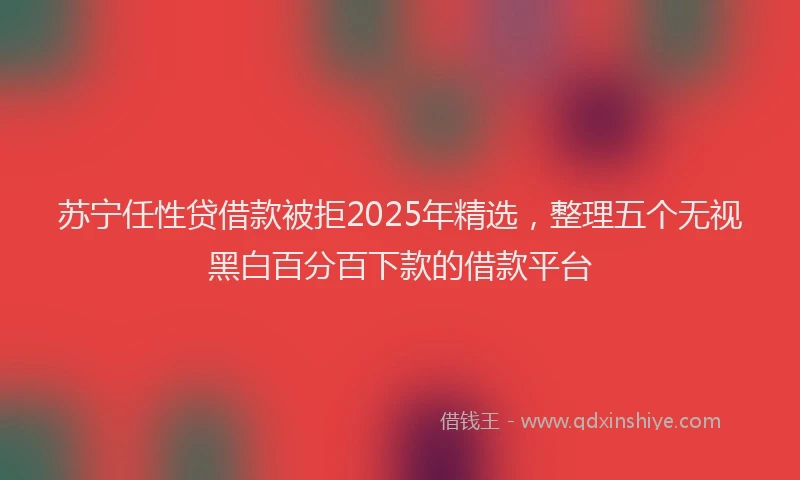 苏宁任性贷借款被拒2025年精选，整理五个无视黑白百分百下款的借款平台